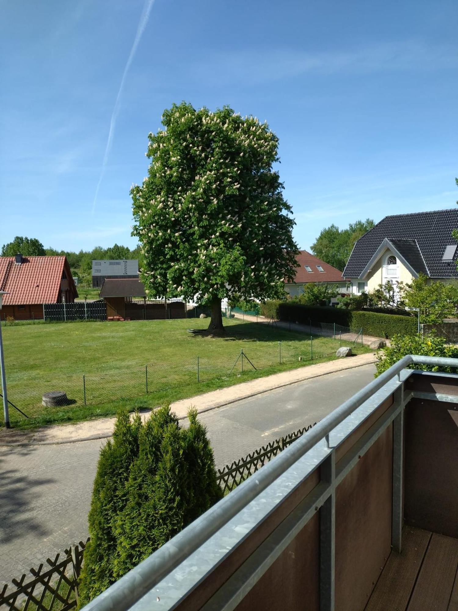 Ferienhaus Rechlin See 외부 사진